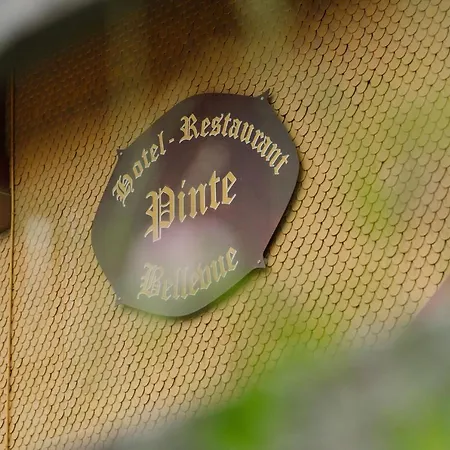 Hotel Pinte 3*